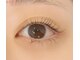 ベルス(Bellus)の写真