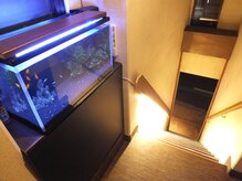 アワーグラス(HOURGLASS)/【入口階段】