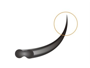 アンドジョリー(&Jolie)/