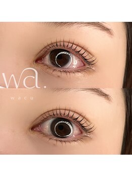 ワク(wacu)/Lash lift 上下