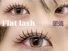 【華やかな印象にしたい方に】まつげエクステ/フラットラッシュ 140～160本