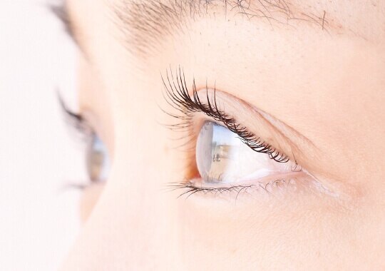 大人気◎ まつ毛パーマorパリジェンヌラッシュリフトTR込　