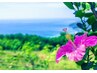 【たっぷり贅沢な癒し♪】ロングコース☆癒しのハワイアンロミロミ120分