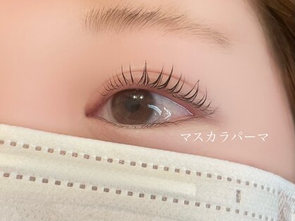 エムクラット(M-clat)の写真