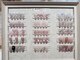 ティーワイネイルサロン(T.Y nail salon)の写真