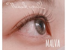 アイラッシュマルヴァ(Eye Lash Malva)/マットラッシュブラウン