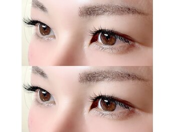 ベル アルブル(bel arbre)/セーブルラッシュ120本