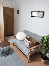 エキナセア(echinacea)/