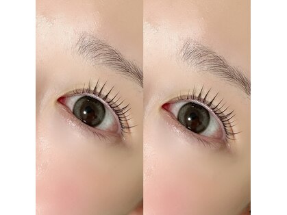 ヘラ(HERA)の写真