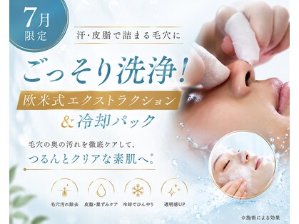 ウィタ(Wita)の写真