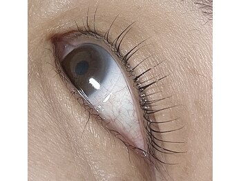 シードット(Cdot)/ラッシュリフト上