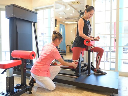 カルマ(KARMA)の写真