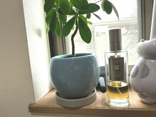 ミクネイルズ(mikunails.)の雰囲気（冬季はクリスマスの朝がイメージのルームスプレーでお迎えします）