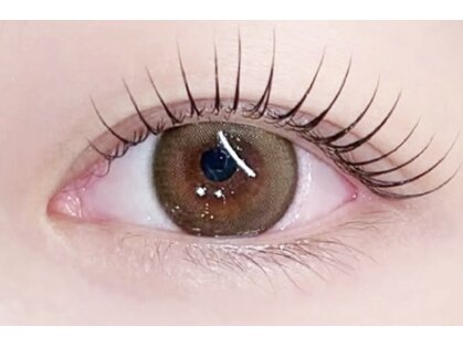 ノア(Noa)の写真
