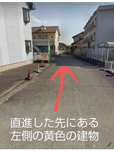 智龍(チリョウ)/