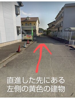 智龍(チリョウ)/