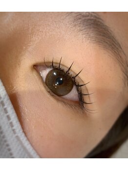 アンド シェリ(& Cheri)/フラットラッシュ120本