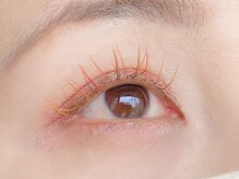 カバー(COVER)/パステルカラーMIX 