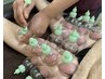 【全身の疲れ・むくみ解消】吸い玉（カッピングセラピー全身＋足つぼ　8000円