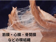 オステオパシー整体院 テツヤズ(Tetsuya’s)/筋膜など膜の整体