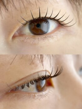 ムニ(muni)/LEDフラットラッシュ80本