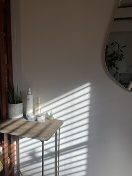 アンジール(ANJIR)/