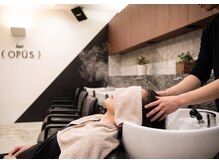 ヘアーオーパスの雰囲気（髪と心を整える、癒しのヘッドスパ）