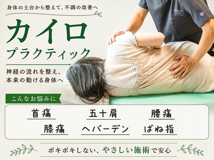 はり きゅう ピノ(はり きゅう PINO)の写真