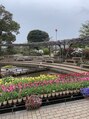 花珠(Hanatama)&nbsp;一年に１箇所ずつ、綺麗な花を見るために旅行に行きたい。