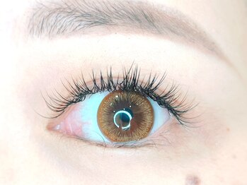 ポニー(PoNy)/セーブルエクステ◆