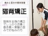 【猫背矯正】気になるその猫背の改善　8800円→4980円
