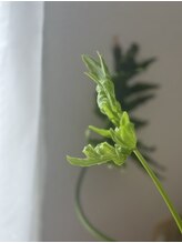 シンメ(SIMME) 田中