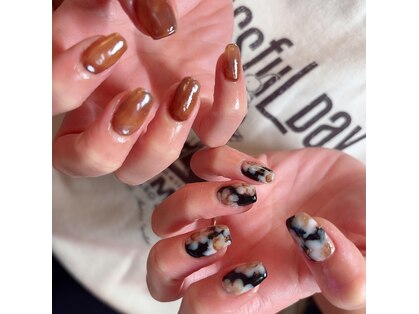 ホリ(Hori)の写真