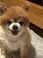 ネイル ウサミミ(Nail UsaMimi)&nbsp;ワンコ大好きです！チワワ飼ってます！犬loverです♪