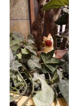 ルマ バリナチュラ 福井店&nbsp;乾 尚子