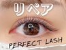 2回目以降★Perfect Lash 少し付け足しリペアコース【30分間付け足し】