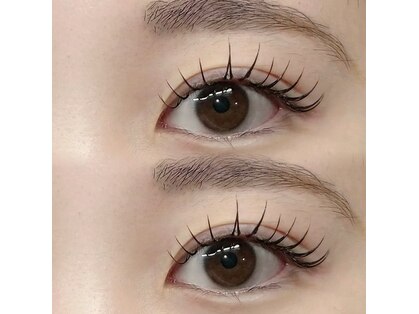 エレ(ele)の写真