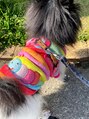ネイルサロン ルーム 浦安店(Nail Salon ROOM) お家で飼ってるポメラニアンです★