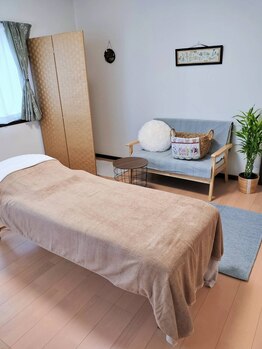 エキナセア(echinacea)/