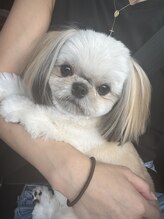 ナーリーネイル(Gnarly nail)&nbsp;成澤 おもち