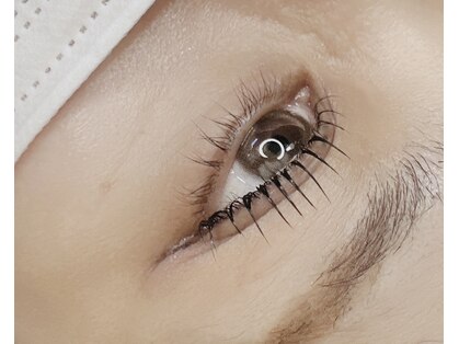 アイラッシュリリィ(Eyelash Lily)の写真