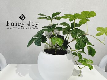 フェアリー ジョイ(Fairy Joy)/お肌のお悩みお聞かせください♪