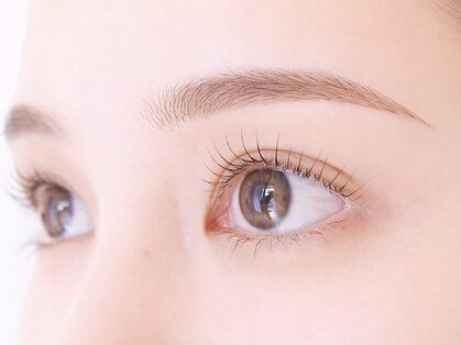 テルム(TELUM)の写真