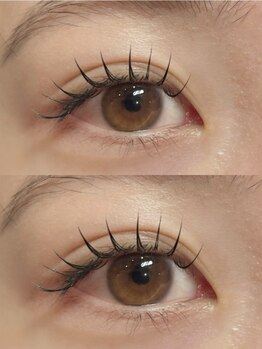 ムーラッシュ(moulash)の写真/エクステの中でも高い持続力で話題の高毛質《フラットラッシュ》*抜群のモチの良さ×軽い付け心地◎