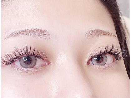 ヨウコ(yoko)の写真