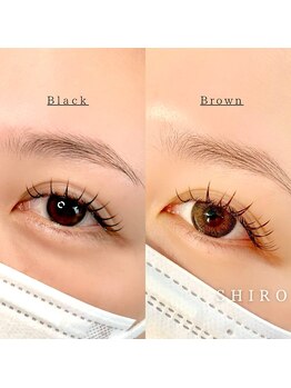 シロ(SHIRO)/カラーエクステ