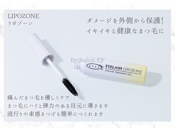 サロン イーエフ 名駅セントラル店(salon EF)/リポゾーン
