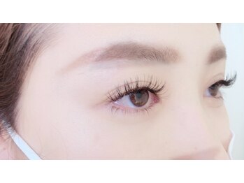 メゾンリリー 藤井寺(maison lily)/フラットラッシュ