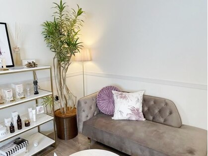 ブルーム(Bloom.)の写真