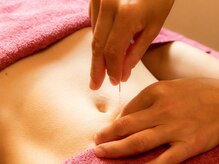 リシュレータ(RISYURE-TA)